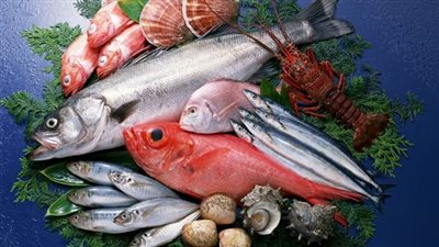  سعر السمك اليوم، ارتفاع البلطي وانخفاض الكابوريا في سوق العبور