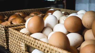 البيض للجميع، 5 جنيهات انخفاضا في أسعار اليوم الإثنين 3 نوفمبر 2025