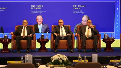 وزير قطاع الأعمال: التحول الأخضر ركيزة أساسية باستراتيجية الوزارة لتحقيق أهداف رؤية مصر 2030