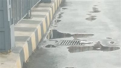 هطول أمطار على شرق وغرب الإسكندرية (صور)