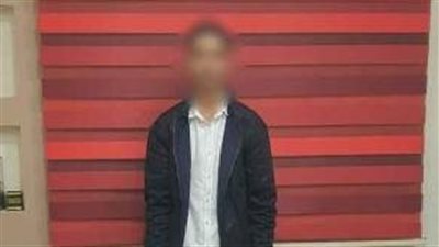 الأمن يكشف ملابسات فيديو تعدي شاب على سيدة بالفيوم