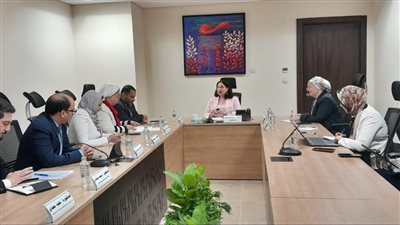 نائبة وزيرة التضامن تلتقي مساعد وزير الصحة والسكان لشئون المشروعات والمبادرات العامة