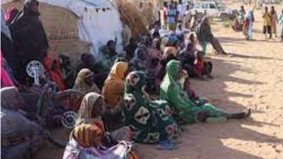 تقرير أممي: مجاعة تضرب الفاشر وكادوقلي و20 منطقة مهددة في دارفور وكردفان