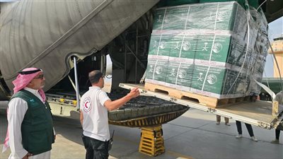 تحمل مساعدات لغزة، طائرة سعودية تصل مطار العريش 