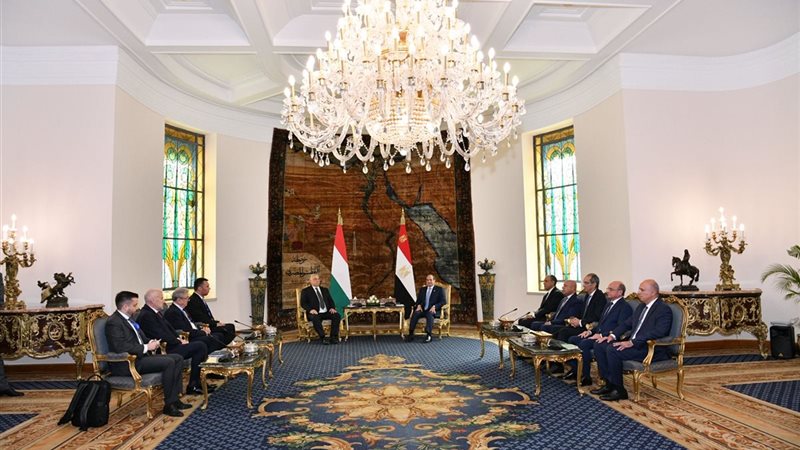 مباحثات مصرية مجرية