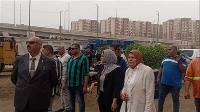 محافظ القليوبية يتابع حملة شبرا الخيمة للقضاء على عربات الكارو
