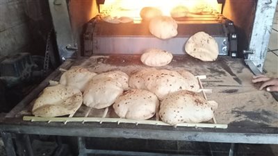 43 مخالفة، تموين الفيوم يشن حملة مكبرة على المخابز البلدي والسياحي