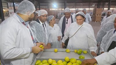 مفاوضات مصرية مع الدومينكان لفتح أسواق الكاريبي أمام الموالح والرمان