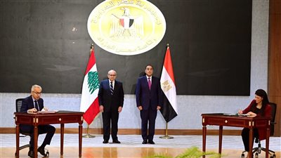 المشاط: شراكة مصرية لبنانية في مجال رسم السياسات الاقتصادية والتنموية 