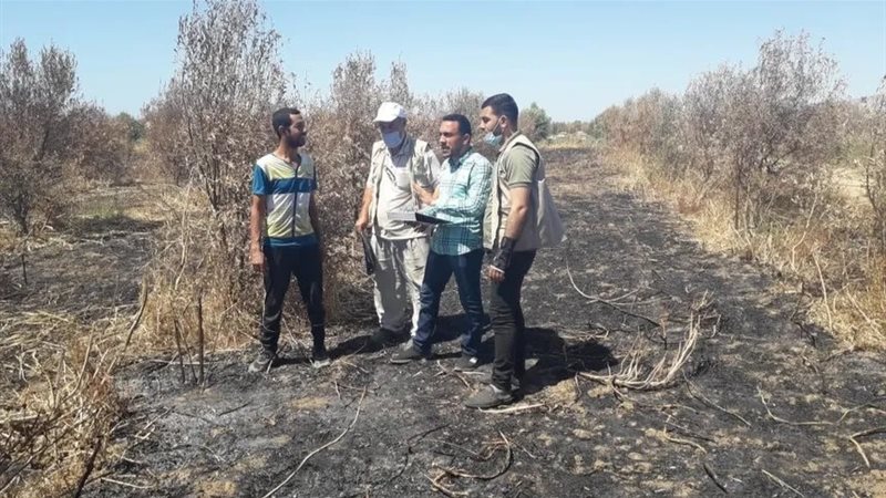 أرض زراعة فى غزة،