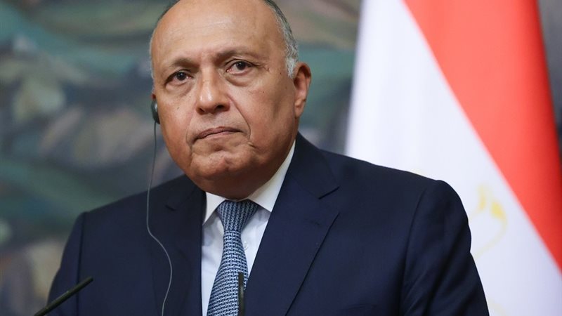 سامح شكري، فيتو