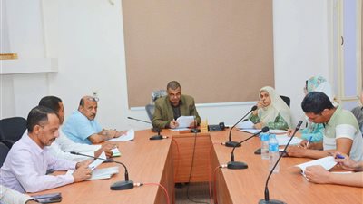 محافظة الوادي الجديد تناقش التحديات التي تواجه المواطنين في مزاولة الأنشطة الحرفية