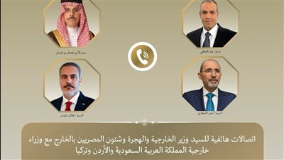 وزير الخارجية يبحث مع نظرائه في السعودية والأردن وتركيا مستجدات الأوضاع بقطاع غزة