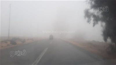 شبورة كثيفة حجبت الرؤية، غلق الطريق الصحراوي من البوابات في الإسكندرية 