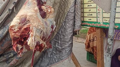 تموين الوادي الجديد يطلق مبادرة