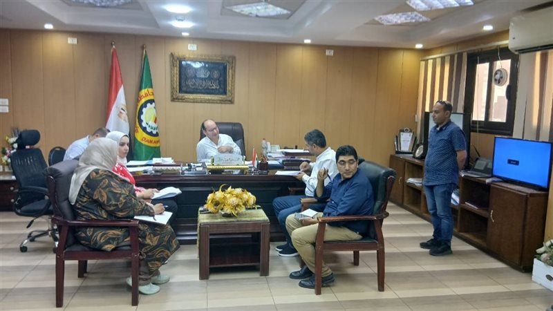 اجتماع صحة الدقهلية،