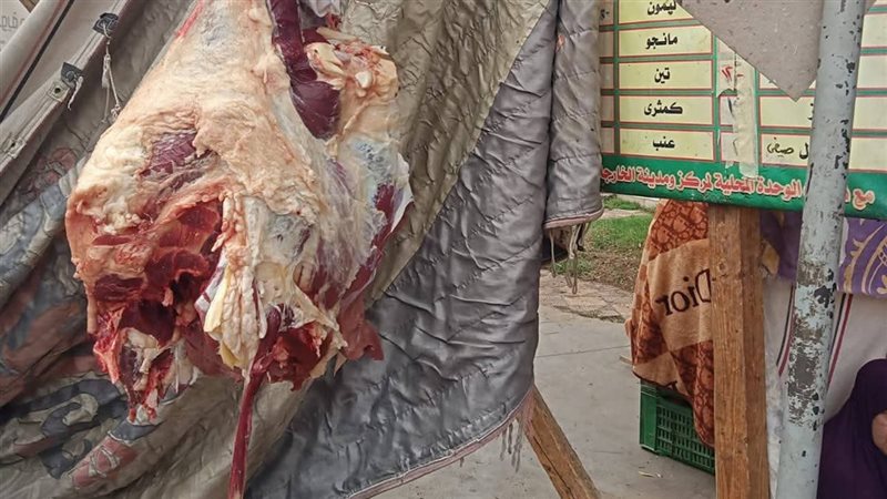 شعار المبادرة، فيتو