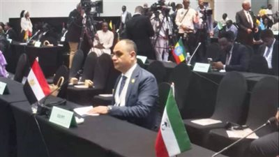 مصر في القمة الأفريقية ببوتسوانا: التنمية العادلة لن تتحقق دون صون موارد القارة