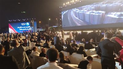 أمين عام مستقبل وطن: رجال الأعمال المرشحون بقوائم الحزب لا يتجاوزون الـ 10%