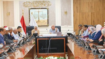 محافظ الوادي الجديد يتابع تجهيزات إجراء انتخابات مجلس النواب 2025