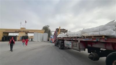 الهلال الأحمر يُطلق قافلة «زاد العزة» الـ67 بحمولة 9 آلاف طن مساعدات إلى غزة