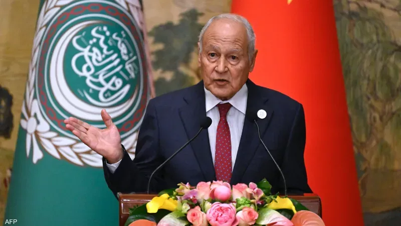 أحمد أبو الغيط، فيتو