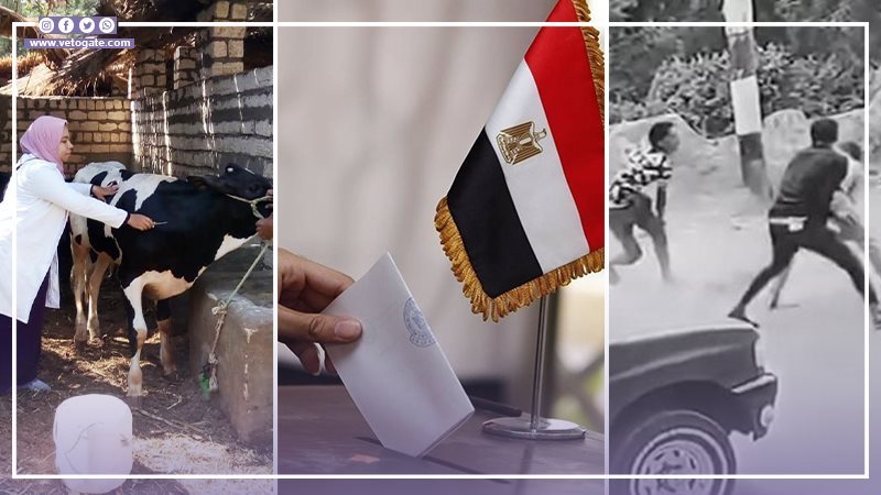 أخبار مصر