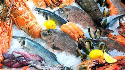 سعر السمك اليوم، قفزة في الجمبري والكابوريا وانخفاض البلطي