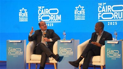 وزير المالية: شركات عالمية كبرى تتوسع فى مصر ولدينا قاعدة لوجستية تنافسية