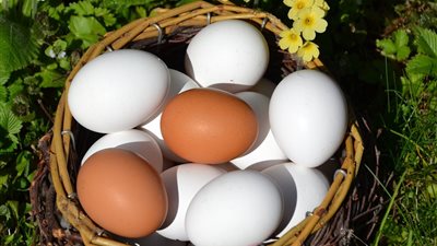 سعر كرتونة البيض اليوم الجمعة في بورصة الدواجن