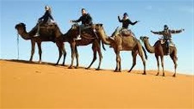 عباقرة ولكن مجهولون، 