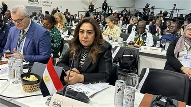الدكتورة منال عوض،