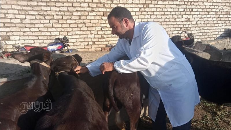 حملة بيطرية ببني
