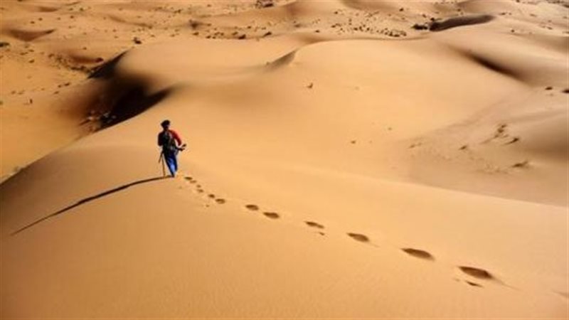 تفسير حلم المشي في