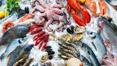 سعر السمك اليوم، ارتفاع الجمبري 30 جنيها والمكرونة 5 والبلطي 