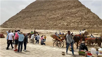  أخبار مصر اليوم: حقيقة فيديو نفوق الماشية على وسائل التواصل الاجتماعي.. 28 ألف زائر للأهرامات عقب إغلاق الزيارة بالمتحف الكبير.. غلق شارع 26 يوليو كليًا باتجاه ميدان لبنان