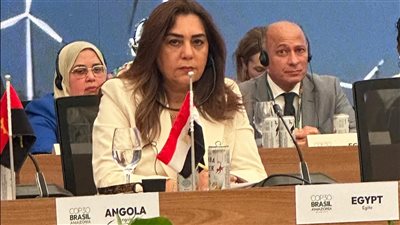 القائم بأعمال وزير البيئة تمثل مصر في قمة بيليم للمناخ COP30