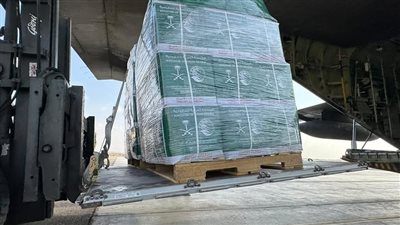 الطائرة السعودية 72 تصل العريش لنقل المساعدات لغزة 