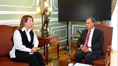 وزير الخارجية: نتطلع لاستضافة مركز لتدريب الدول الأفريقية على مكافحة الجريمة السيبرانية