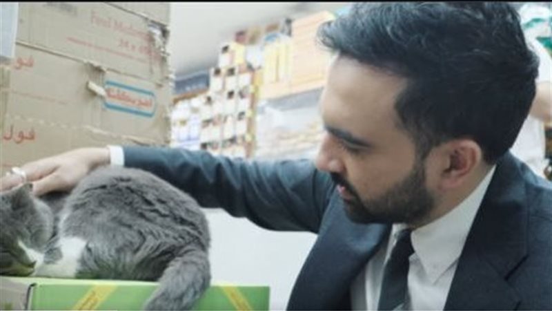 عمدة نيويورك والقط