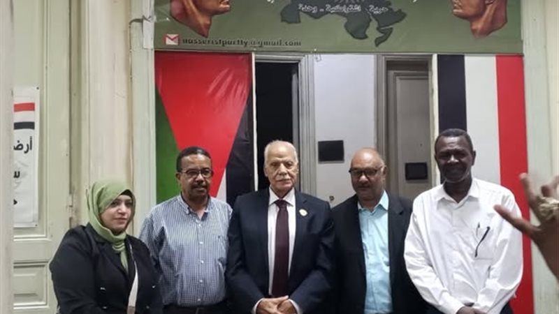 الحزب الناصرى،فيتو