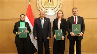مصر توقع اتفاقية بـ50 مليون يورو لتمويل مشروعين على شبكة الكهرباء 