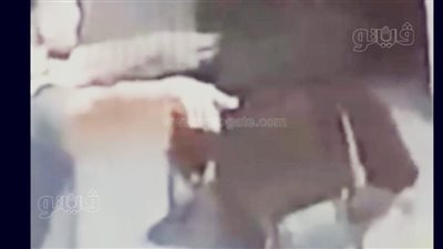 ضبط المتهم بصفع سيدة مسنة في الزقازيق بعد تداول فيديو