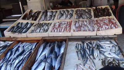 الجمبري يواصل قفزاته السعرية، سعر السمك اليوم الاثنين في سوق العبور 