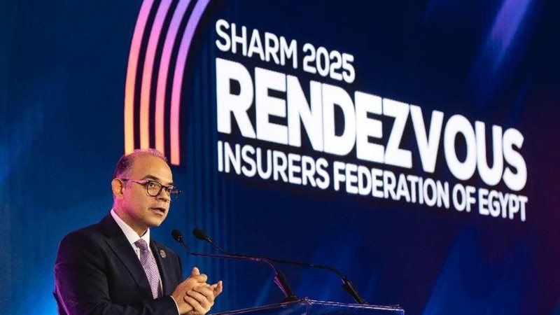 رئيس الهيئة العامة