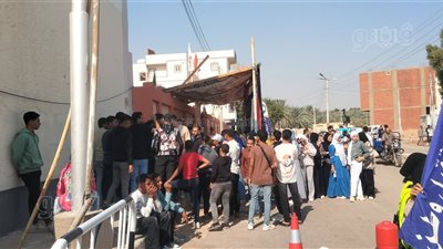 توافد الناخبين على لجان انتخابات النواب في الوادي الجديد 