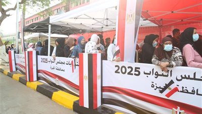 انتخابات النواب، الهيئة الوطنية تدفع بـ قاضي احتياطي بلجنة 21 بالفيوم لكثافة التصويت 