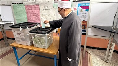 انتخابات النواب، شوقي علام: احتشاد المصريين أمام صناديق الإقتراع نموذج يُحتذى به في الوطنية