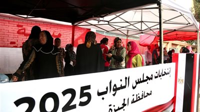 بعد بطلان 29 دائرة، مصير الإعادة في انتخابات مجلس النواب بالدوائر الملغاة 