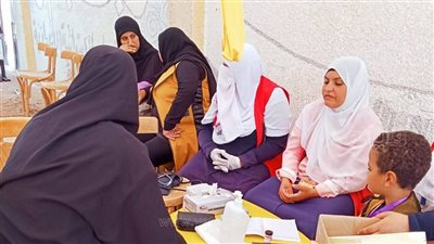 انطلاق فرق التأمين الطبي لانتخابات مجلس النواب بالوادي الجديد